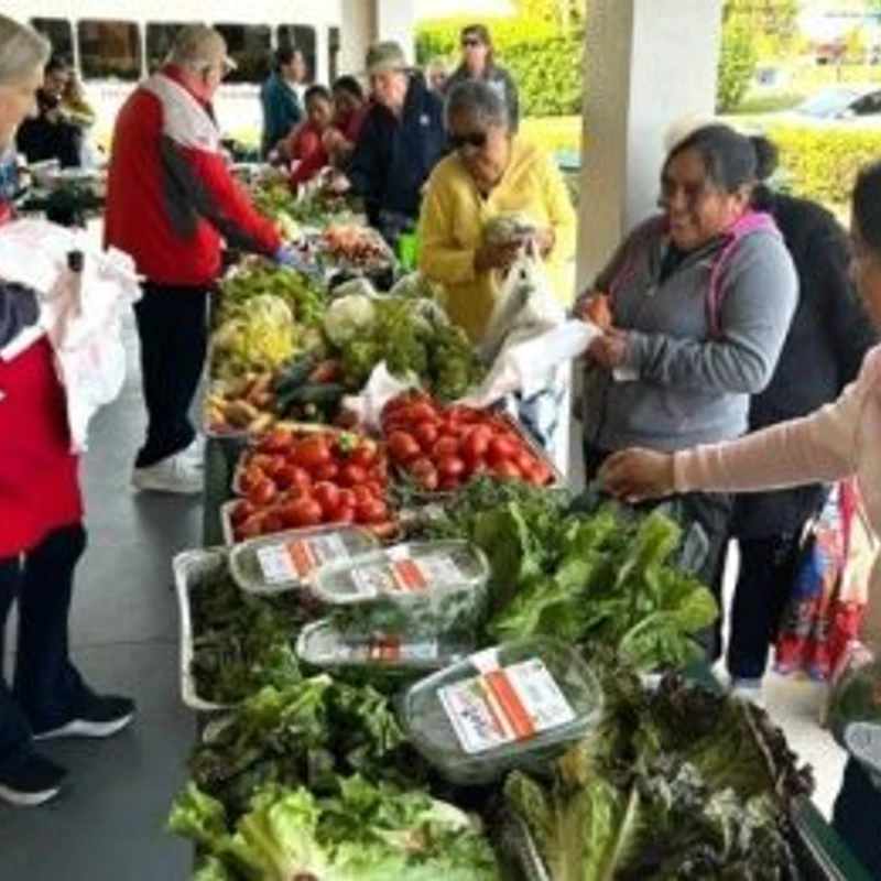 Ladies' Cafe of Life Tour and Luncheon&nbsp;